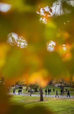 Fall Foliage at Penn