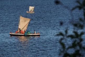 fishers. Image: Erol Akçay